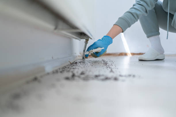 Pest Prevention Services in Homedale, ID